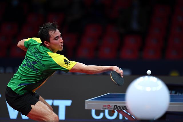 山东省羽毛 山东省羽毛